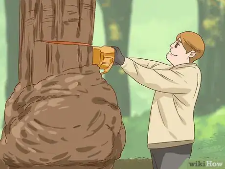 Imagen titulada Find Burl Wood Step 12