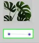 insertar una línea en Word