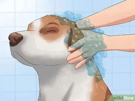 Imagen titulada Prevent Ticks on Dogs Step 8