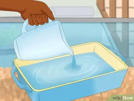 Imagen titulada Care for a Shedding Snake Step 9