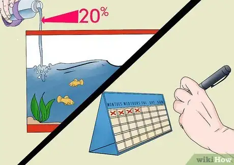 Imagen titulada Breed and Care for Platies Step 12