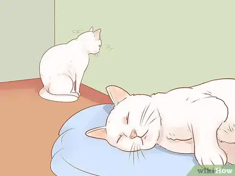 Imagen titulada Know if Your Cat Is Sick Step 10