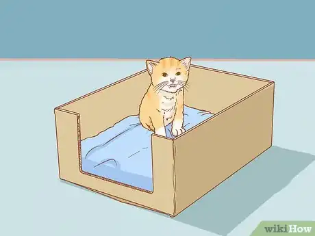 Imagen titulada Get a Kitten to Fall Asleep Step 1