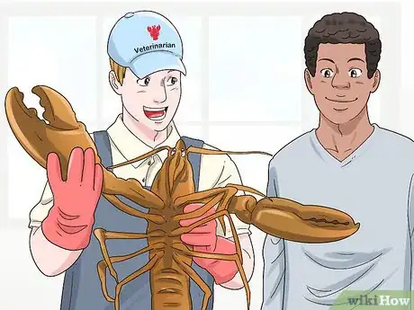 Imagen titulada Create Lobster Farms Step 15