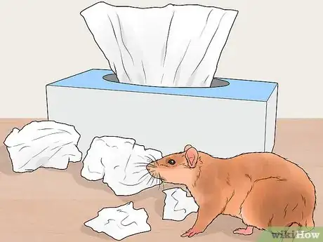 Imagen titulada Breed Rats Step 10