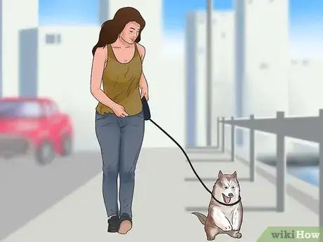 Imagen titulada Stop Howling Dogs Step 7