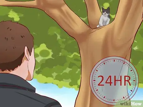 Imagen titulada Get a Cat out of a Tree Step 7