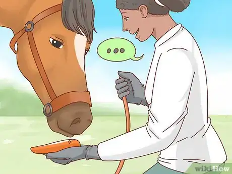Imagen titulada Teach a Horse to Bow Step 9