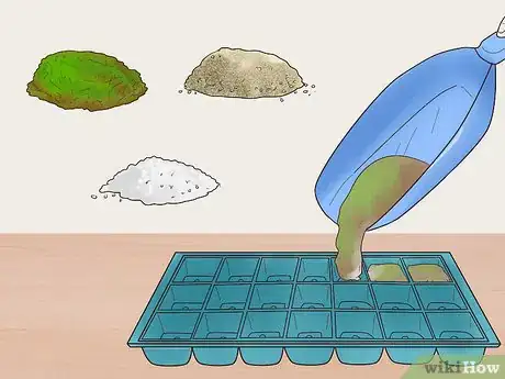 Imagen titulada Grow Flowers from Seed Step 2