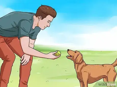 Imagen titulada Teach a Dog to Fetch Step 4