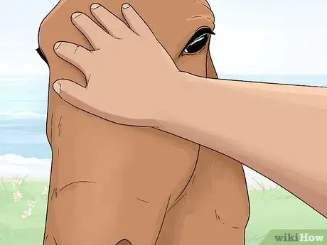 Imagen titulada Tell if a Horse Is Frightened Step 17