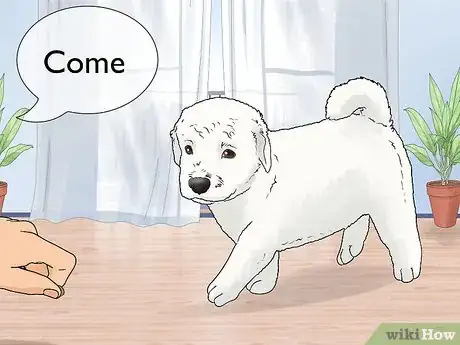 Imagen titulada Train a Dog Step 7