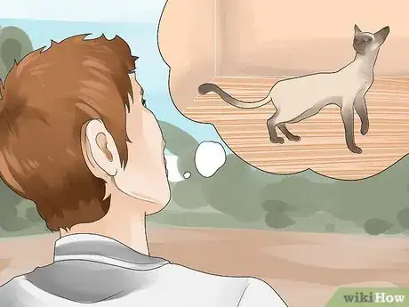 Imagen titulada Tell if Your Cat Is in Heat Step 8