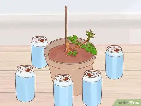 Imagen titulada Prevent Cats from Eating Plants Step 6