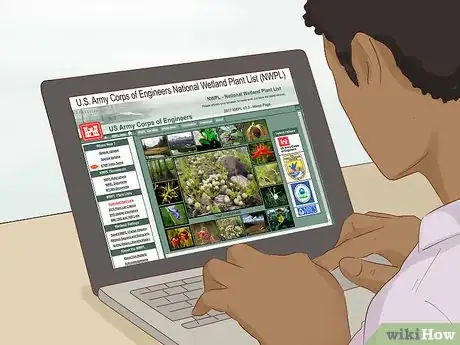 Imagen titulada Create a Rain Garden Step 8.jpeg