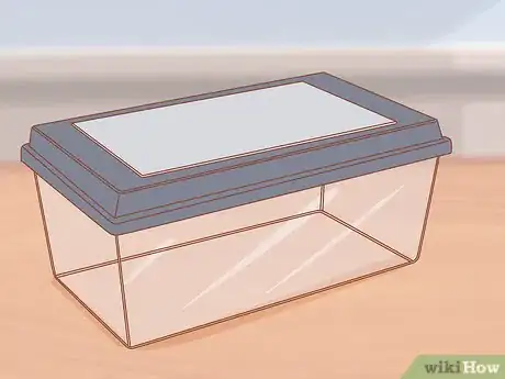 Imagen titulada Catch and Look After Wild Mice Step 5