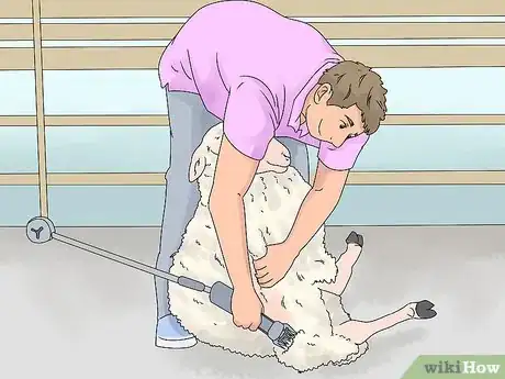 Imagen titulada Breed Sheep Step 7