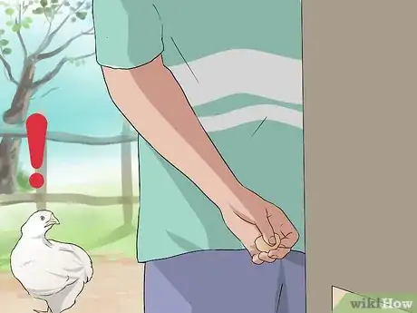 Imagen titulada Train Chickens to Return to Their Coop Step 10
