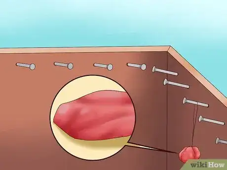 Imagen titulada Make a Turtle Trap Step 7