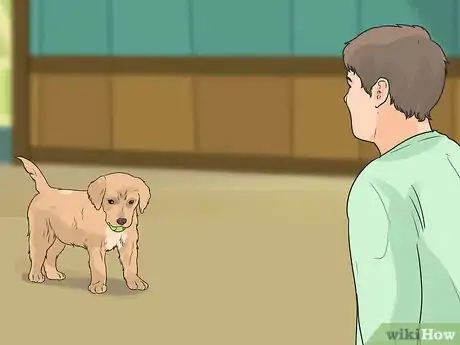 Imagen titulada Introduce a New Puppy Step 13
