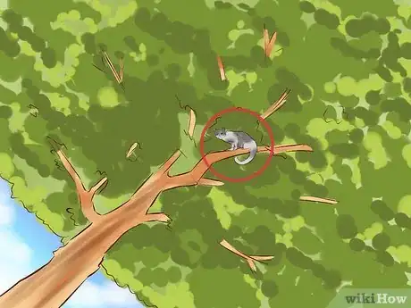 Imagen titulada Get a Cat out of a Tree Step 1
