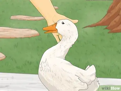 Imagen titulada Train Ducks Step 7
