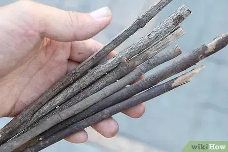 Imagen titulada Make Fire Without Matches or a Lighter Step 2