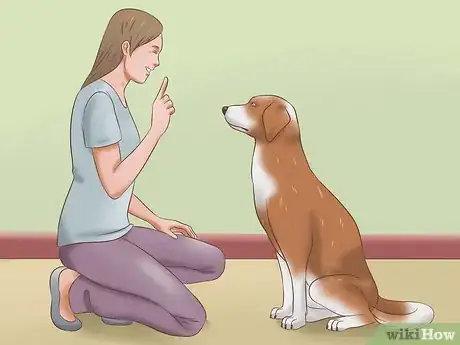 Imagen titulada Stop Dogs from Biting Step 7