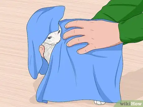 Imagen titulada Bathe a Kitten Step 15