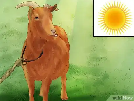 Imagen titulada Wash a Goat Step 7