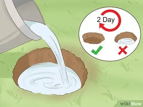 Imagen titulada Create a Rain Garden Step 3.jpeg