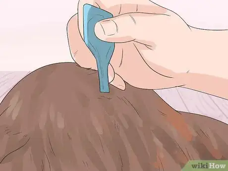 Imagen titulada Treat Anemia in Dogs Step 12