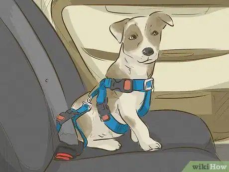 Imagen titulada Keep Your Dog Happy Step 10