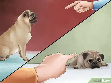 Imagen titulada Care for a Pug Step 13