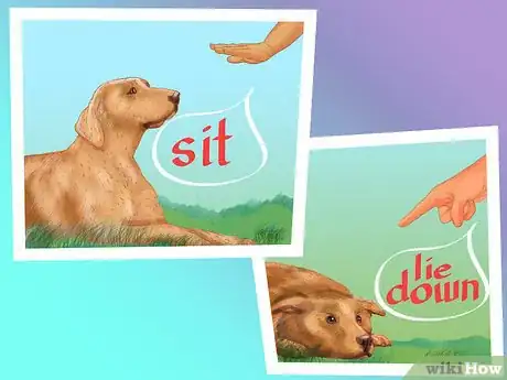 Imagen titulada Buy Already Trained Dogs Step 9