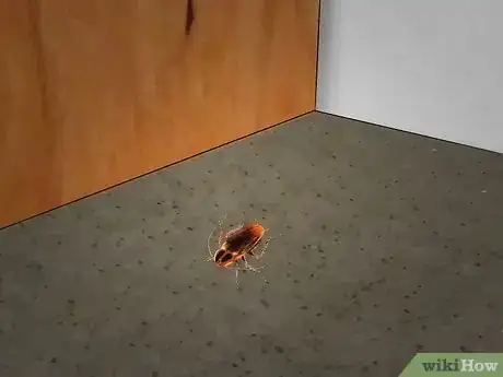 Imagen titulada Kill Household Bugs Step 1