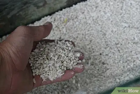 Imagen titulada Prepare Fish Tank Gravel Step 8