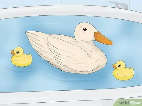Imagen titulada Care for a Pet Duck Step 16