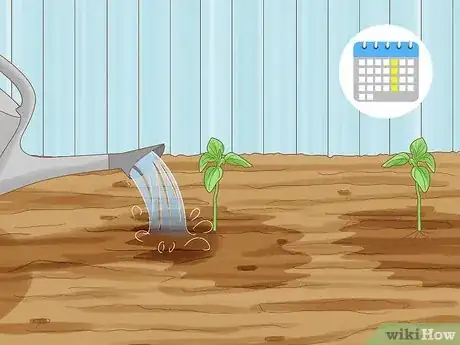 Imagen titulada Plant Sunflower Seeds Step 12