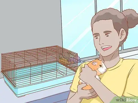 Imagen titulada Help Your Guinea Pig Adjust to You Step 11