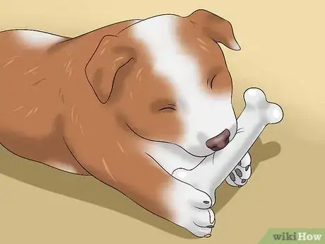 Imagen titulada Stop Dogs from Biting Step 6