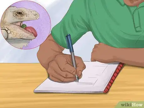 Imagen titulada Treat Reptiles for Vitamin A Deficiency Step 4