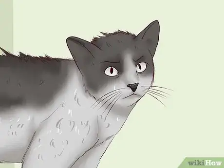 Imagen titulada Clean Your Cat When He Can't Do It Himself Step 36