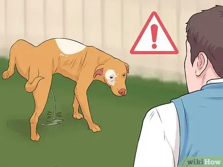 Imagen titulada Tell if a Dog Is Going to Attack Step 11