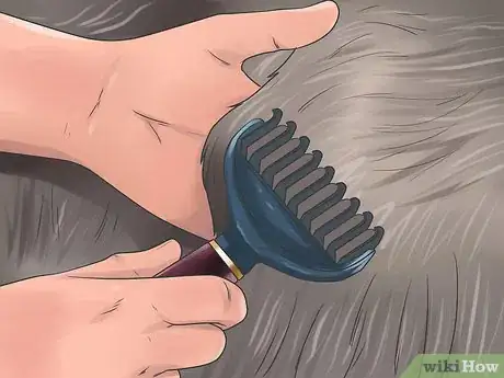 Imagen titulada Brush Mats out of Dog Hair Step 11