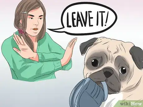 Imagen titulada Train Pugs Step 14