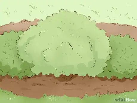 Imagen titulada Create a Rain Garden Step 9.jpeg