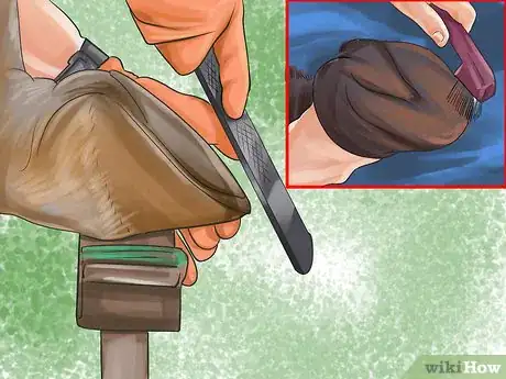 Imagen titulada Treat a Hoof Abscess in Horses Step 7