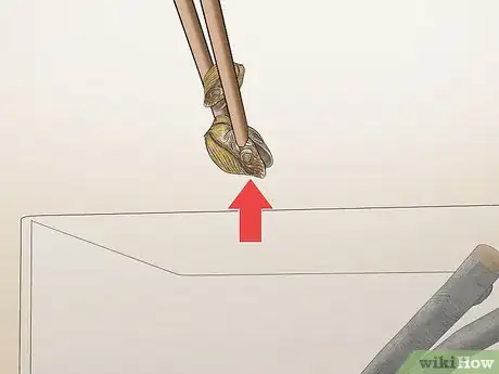 Imagen titulada Take Care of a Praying Mantis Step 11