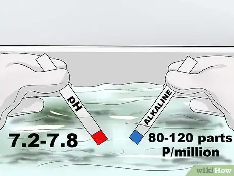 Imagen titulada Get Rid of Blackspot Algae in Your Swimming Pool Step 2